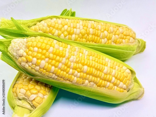 corn on the cob