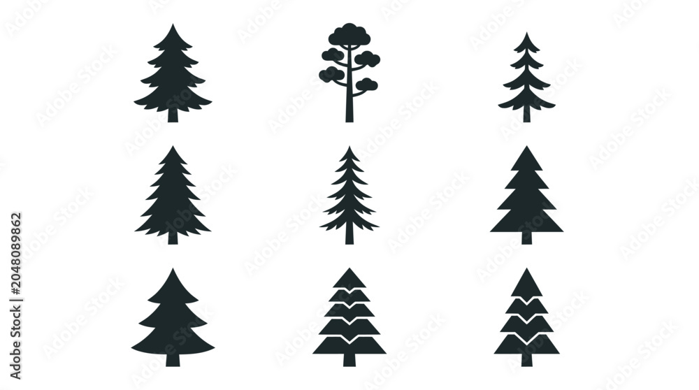 Obraz premium Black silhouettes of different evergreen conifer trees.