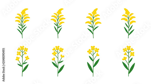 Minimalist yellow wildflower and garden weed plant icons.