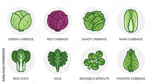 Photos Variety of cabbage and leafy green vegetables flat icons.