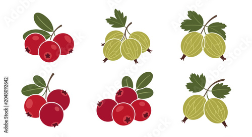 Canvas Print Fresh cranberry and gooseberry illustrations with green leaves