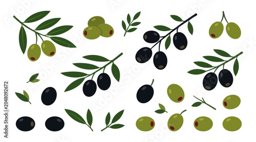 Fotografie Green and black olive branches and fruit icons.