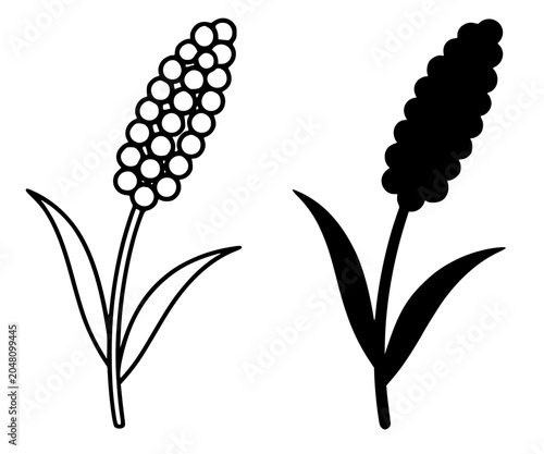 Millet illustration, minimalist outline and silhouette icon