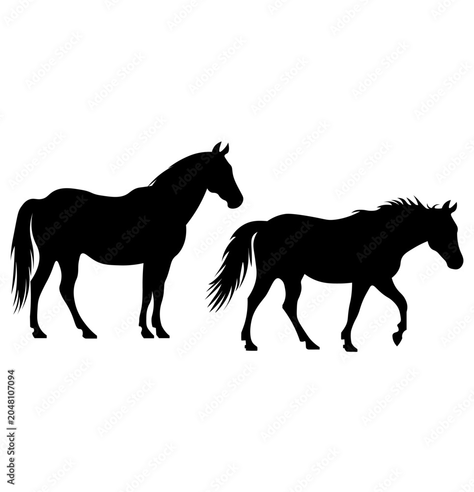 Obraz premium Detailed black silhouette illustrations of two horses side by side — one standing still with head slightly lowered and flowing mane, and one in a natural walking stride with tail flowing behind