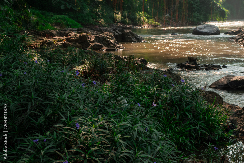 Naklejka premium Flowing River Through Tropical Forest with Rocky Stream, Natural River Landscape with Rocks and Lush Green Vegetation