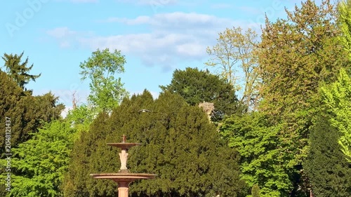 White stork flying above lush green trees and fountain on sunny day