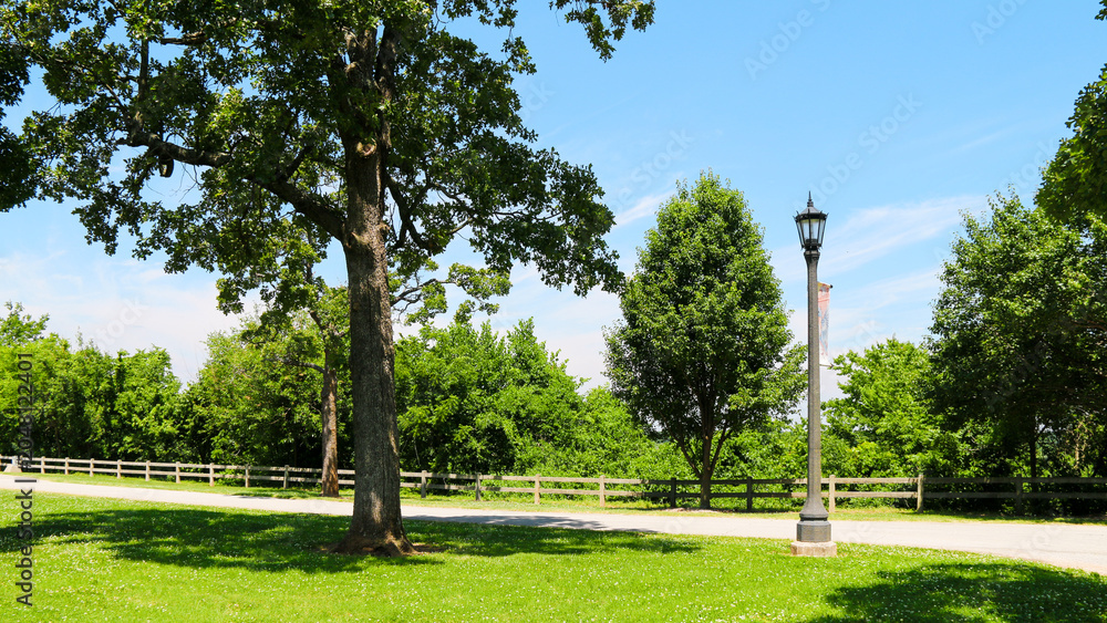 Obraz premium A large tree casts shade on a green lawn next to a lamp post and a wooden fence with more trees in the background under a bright blue summer sky