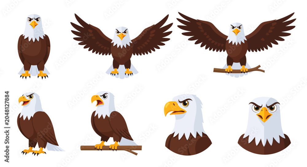 Naklejka premium Bald Eagle Bird Animal.