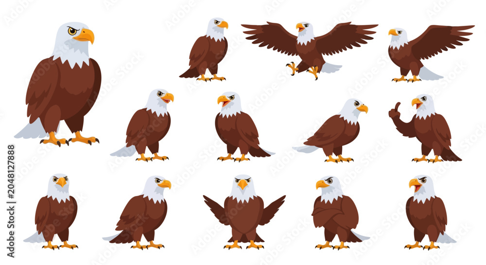 Naklejka premium American Bald Eagle Birds.
