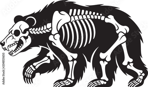 Bear skeleton, black grizzly bear with bones, outline illustration, wild animal anatomy silhouette.