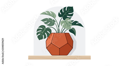 Monstera plant in terracotta pot.