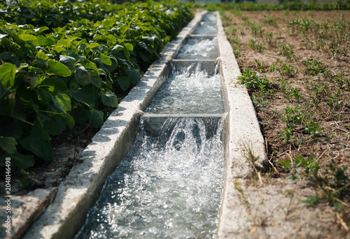 Fotografia A concrete irrigation canal flowing with clear water through a green agricultura