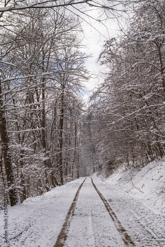 Tire tracks winding along a snow-covered rural dirt road through a quiet winter forest landscape in Warren County, Pennsylvania, USA