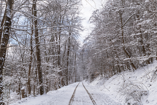 Tire tracks winding along a snow-covered rural dirt road through a quiet winter forest landscape in Warren County, Pennsylvania, USA
