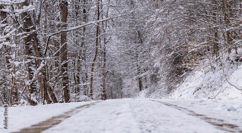 Tire tracks winding along a snow-covered rural dirt road through a quiet winter forest landscape in Warren County, Pennsylvania, USA