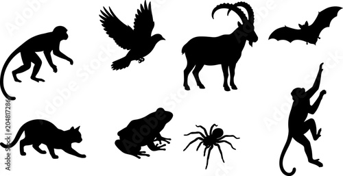 Photography Wildlife Animal Silhouette Collection Featuring Monkeys Eagle Ibex Bat Panther F