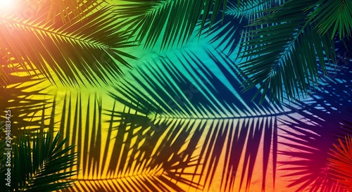 Rainbow colored palm tree leaves with sunlight palm leaves