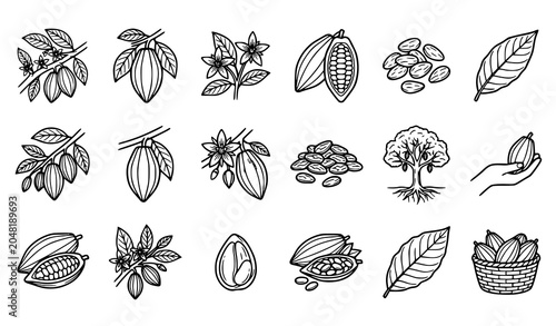 Foto Cacao Pod Bean and Chocolate Plant Botanical Illustration Collection