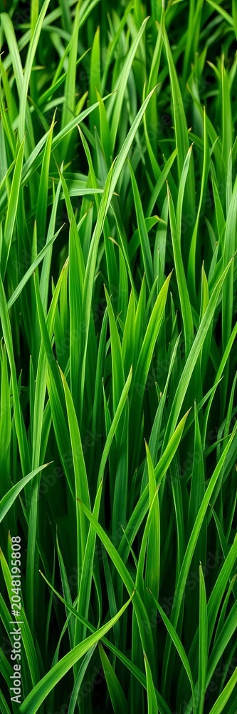 Fototapeta premium Abstract pattern of artificial grass blades, offering a textured green background for design projects, artificial grass texture, fake lawn background