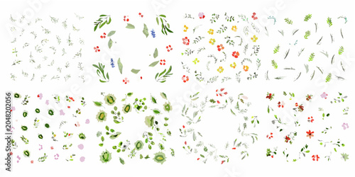 Fotografie Botanical elements watercolor illustration with leaves flowers and berries
