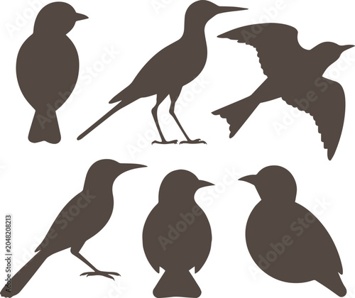 Flock of Black Birds Flying in Silhouette Against White Background