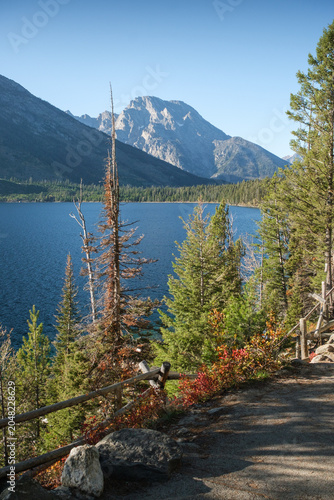 Bilde på lerret The natural scenery of Mount Moran in Grand Teton National Park, USA