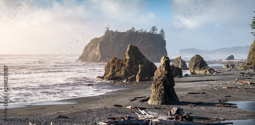 Natural scenery of the Pacific coastline of Olympic National Park, USA