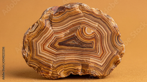 Macro close‑up of layered chert nodule with concentric bands on solid warm ochre background