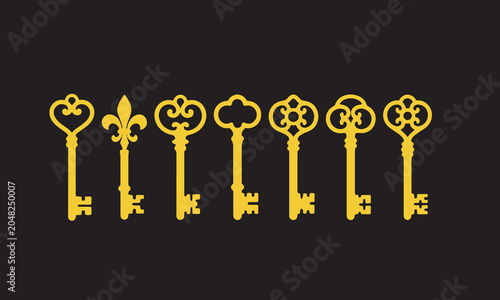 Vintage Ornamental Key Icons Set with Decorative Antique Designs