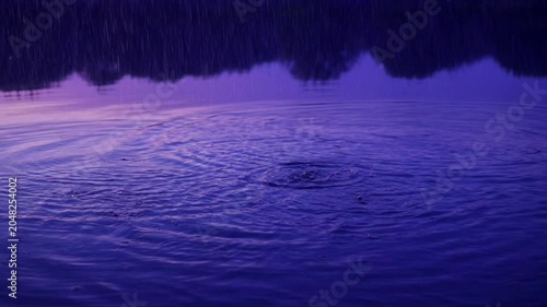 Water Raindrops Ripple Calm Surface.