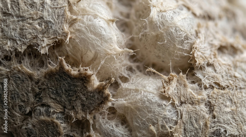 Abstract Organic Fibrous Texture Macro Background