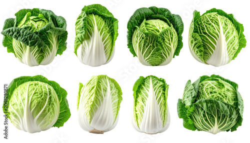 Assortment of eight fresh cabbages, cut and whole, showcasing vibrant green and white leafy textures