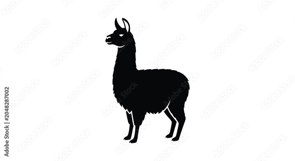 Fototapeta premium Llama silhouette against a white background silhouette