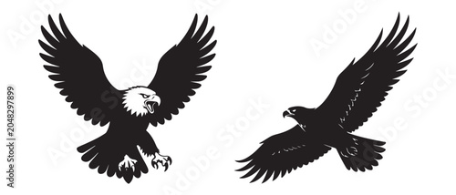 Bald Eagle and Soaring Eagle Silhouette Collection Wildlife Bird Vector Design