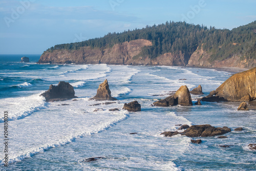 Tableau sur toile Aerial view of the natural scenery of the Oregon coastline, USA.