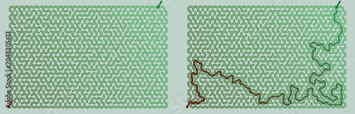 Maze pattern with red path highlighting the solution