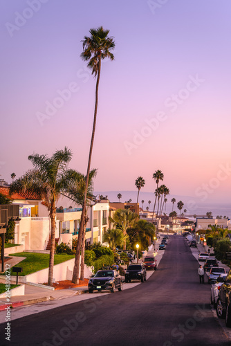 Sunset Palm Avenue scenery in Los Angeles, California, USA