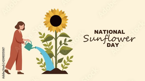 Woman Watering Sunflower Plant Growing for National Sunflower Day Animation