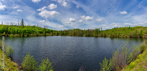 Polstertaler Teich im Oberharz