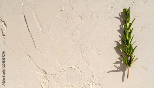 Top view of single fresh rosemary sprig on textured beige plaster background with copy space