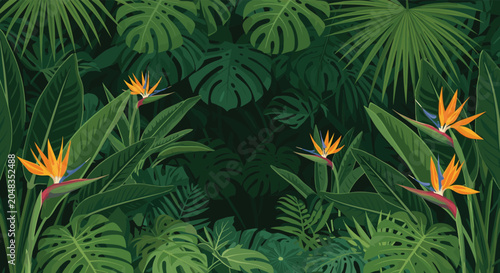 Lush tropical background featuring dense green monstera leaves and bright bird of paradise flowers in a jungle setting.