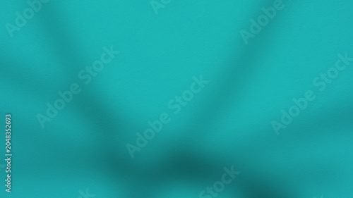An abstract black and white background image showing the shadows of leaves on a concrete wall.