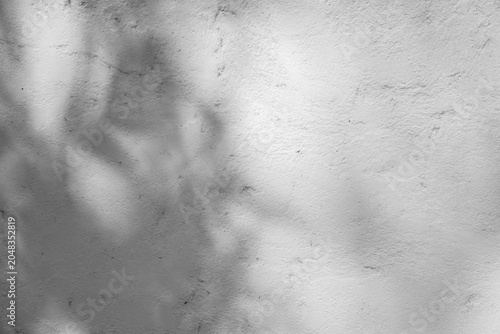 An abstract black and white background image showing the shadows of leaves on a concrete wall.