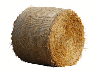 High-Resolution Studio Photograph of a Single Large Round Hay Bale Tied with Net Wrap Isolated on White Background