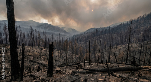 Forest fire devastates mountain landscape with burnt trees and smoky sky