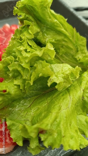 fresh raw minced meat with lettuce