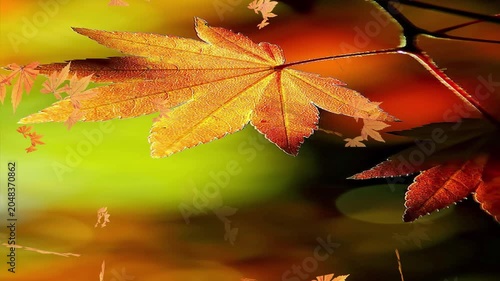 Beautiful Falling Leaves Motion Graphics Loop, Autumn and Green Foliage Background Video for Overlay and VFX. Realistic Green and Orange Foliage Overlay, Seamless Loop Video for Editors.
