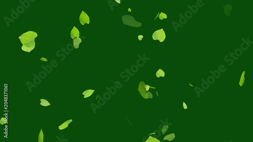 Beautiful Falling Leaves Motion Graphics Loop, Autumn and Green Foliage Background Video for Overlay and VFX. Realistic Green and Orange Foliage Overlay, Seamless Loop Video for Editors.