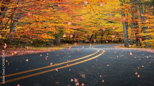 Beautiful Falling Leaves Motion Graphics Loop, Autumn and Green Foliage Background Video for Overlay and VFX. Realistic Green and Orange Foliage Overlay, Seamless Loop Video for Editors.