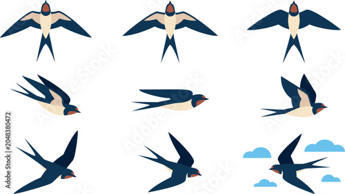 Bild auf Leinwand Flying swallow bird vector collection featuring elegant barn swallows in differe